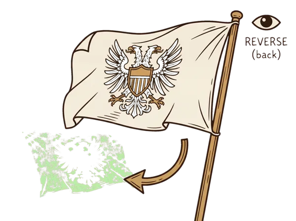 Illustration of Reverse